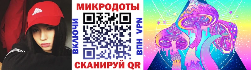 Галлюциногенные грибы Psilocybe  Короча 